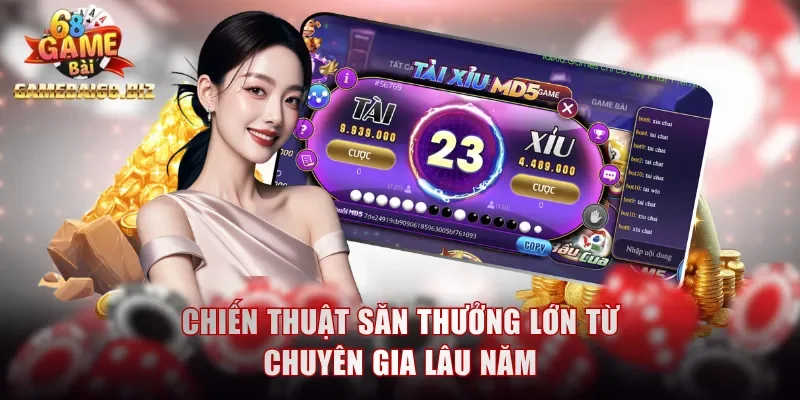 Chiến thuật săn thưởng lớn từ chuyên gia lâu năm